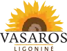 logo projects